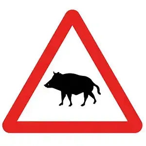 3. Paso de animales en libertad P 24a 3. Paso de animales en libertad P 24a